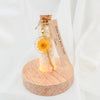 Birth Flower Light - Floever