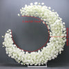 Luxury Moon Shape Arch Rose Flower Row Wedding Backdrop Party Decor Floral Stand - Floever's Life