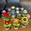 Hand-Knitted Flower in Pot - Floever_Flowers