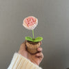 Hand-Knitted Flower in Mini Pot - Floever's Life